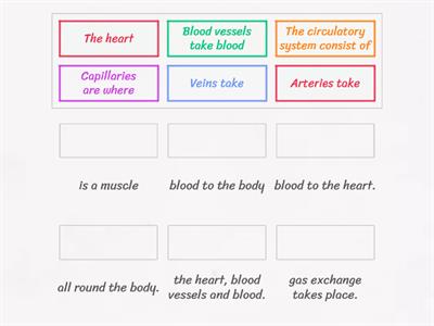 Circulatory system