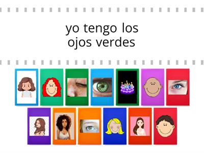 Ojos y el pelo (SER Y TENER)