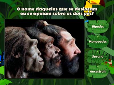 Evolução Humana - Hominídeos