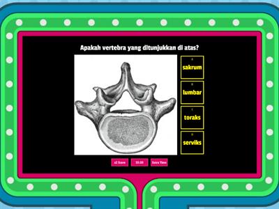 biologi 14.2