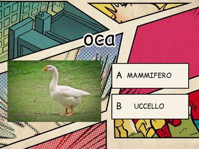 MAMMIFERO o UCCELLO?