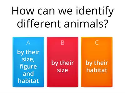 Animals - quiz (science week 13)