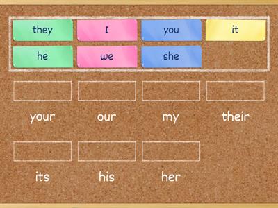 Possessive adjectives