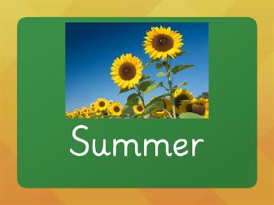 The Seasons of the Year - Weather Y1 EAL flashcards