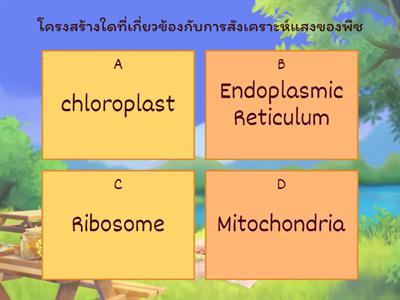 Photosynthesis