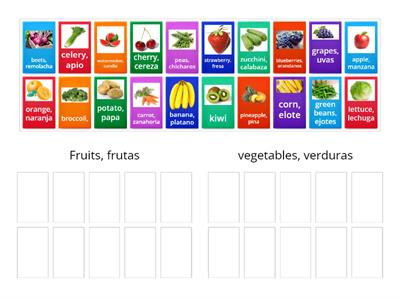 food vocabulary sort