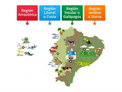 Regiones del Ecuador y su fauna.