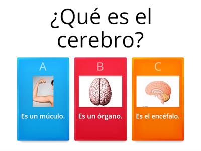 Nuestro Cerebro 