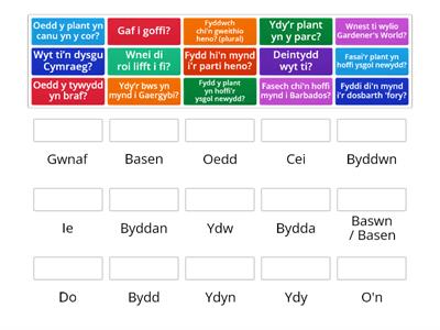 Sylfaen Uned 20 Cwis Yes / No 