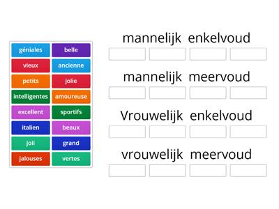 Bijvoeglijk naamwoorden: vorm