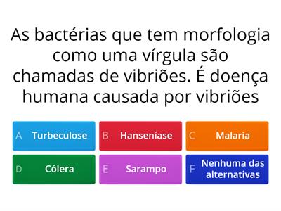 Microbiologia bactérias