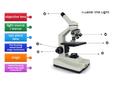 Y7 SCI 1.1-1.2 Labeling a Microscope