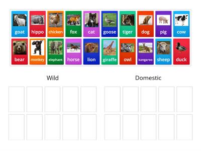 YLE Starters  - Wild and Domestic Animals