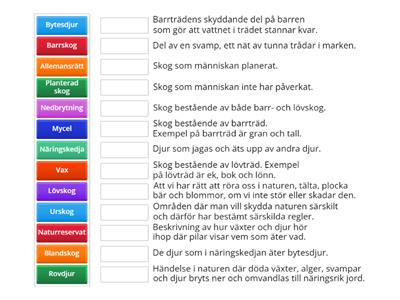 Skogen och naturen på hösten