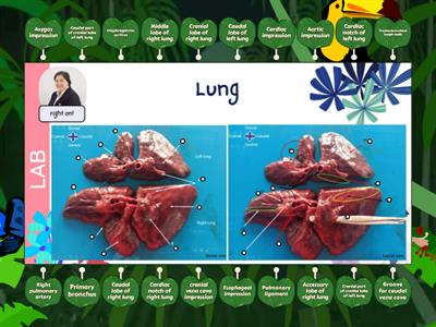 LRS QUIZ 01