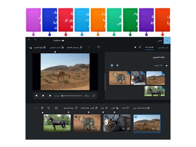 الدرس الثاني: البحث عن الوسائط المتعددة وإنشاء وتحرير مقاطع الفيديو Microsoft Photo
