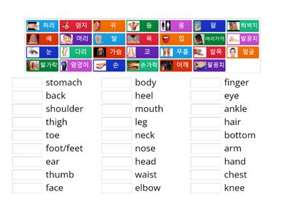 신체 명칭 Parts of the body