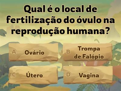 Reprodução Humana