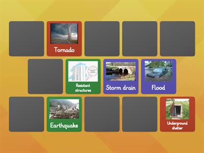Memory Game: natural disasters and possible solutions
