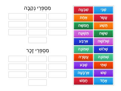 משחק מיון שם המספר לפי מספרי זכר ומספרי נקבה- עברית בעיניים גדולות- סוכיינה ביאדסה כבהא