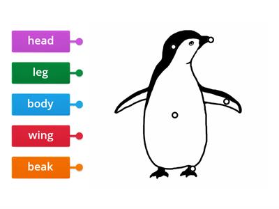 Penguin's Body Parts