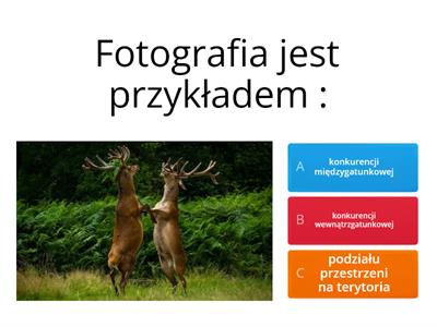 Konkurencja, drapieżnictwo, roślinożerność