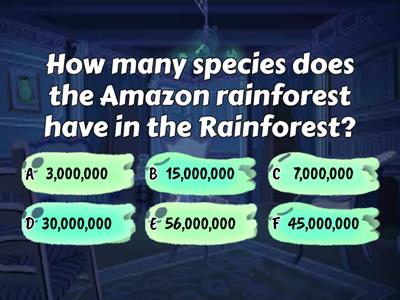 Amazon Rainforest Quiz!