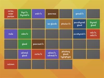 Endo Med Term Matching Game #1