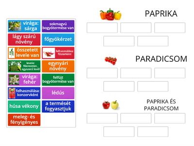 Paprika - paradicsom