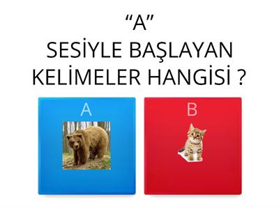 OKUL ÖNCESİ "A" SESİ  