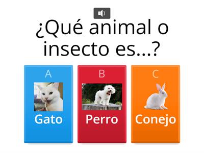 Adivina... ¿Qué animal o insecto es?