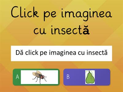 INSECTE