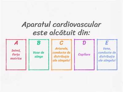 C7. Circulația