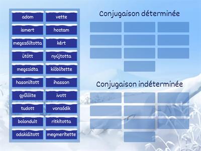 Conjugaison déterminée ou indéterminée ? / Határozott vagy általános ragozás?