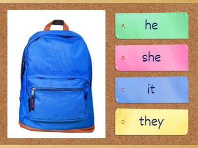 She is he is it is - Teaching resources