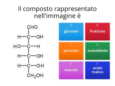 Fermentazione alcolica