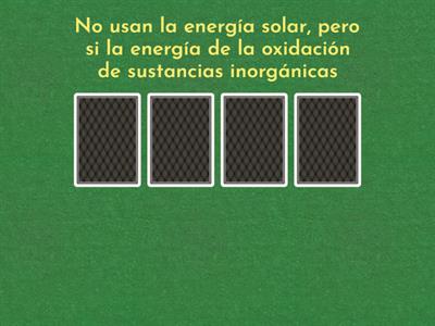 7° CONCEPTOS RELACIONADOS CON LA FUNCIÓN DE NUTRICIÓN