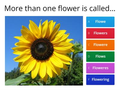 One less than one more than - Teaching resources