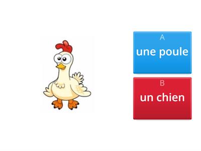 les animaux quizz 