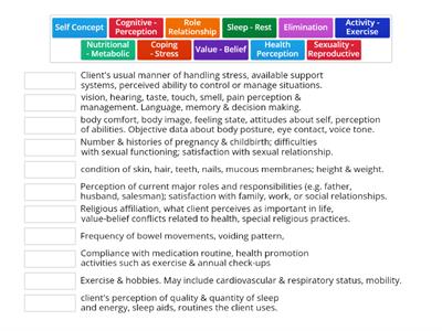 Gordon's Functional Health Patterns