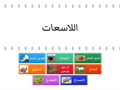       تصنيف الحيوانات