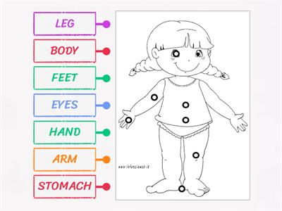 Label the parts of the body