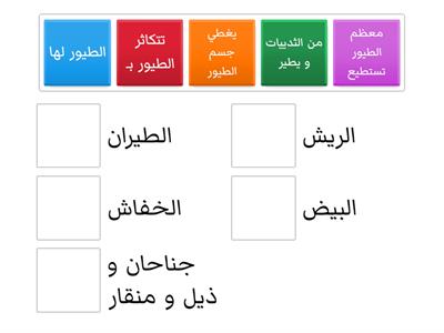 الطيور / الصف الثالث