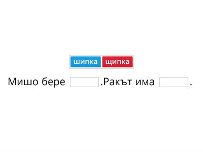 Щ. Попълни липсващите думи в изречението. 