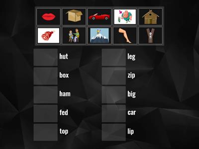 Ten vocabularies of Three letter phonic words: car, leg, zip, hut, big, lip, top, fed, ham, box