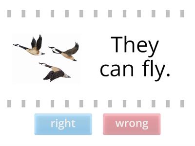 "It's a long way" LL 26 - 31 Grammar - can/can't (45)