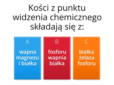 Biologia Kości