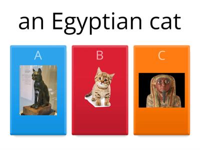 SM4 U1 The Egyptian cat