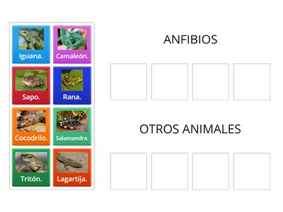 ¡Diferenciamos anfibios y reptiles! 