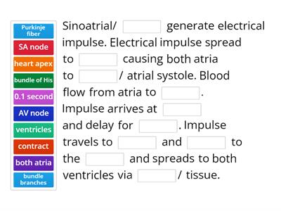 Explain the cardiac cycle that leads to heartbeat